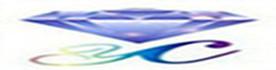 湖北远成赛创科技有限公司（总公司）Logo