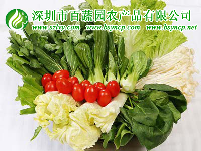深圳送菜公司新鲜蔬菜当天采摘配送到家