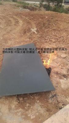 塑料床板生產廠家 環保材質學生宿舍專用
