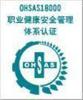 南京OHSAS18001认证