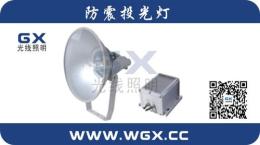 ZY8310-供应ZY8310 250/400W 防震投光灯