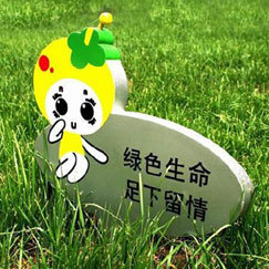 花草牌的设计和制作