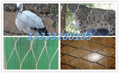 柳州動(dòng)物園建設(shè)不銹鋼交叉繩網(wǎng)廠家