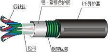 PTYA22铁路信号电缆