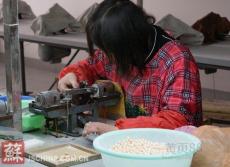 临沧市哪里有手工活串珠厂家保证正规合格
