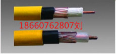 MGTSV-16B矿用阻燃通讯光缆 通信光缆 单模通讯光缆