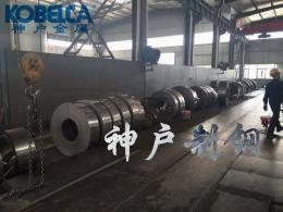 德國進(jìn)口彈簧鋼圓棒65Mn