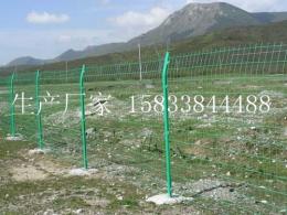 山东护栏网