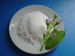 啞粉508 消光粉 消光劑 廣州啞光粉