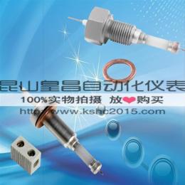 鍋爐電極DJM1815-97 汽包電極DJY2212-115