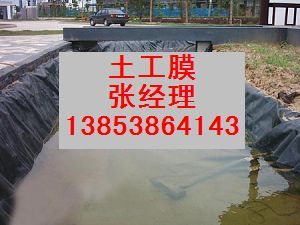 人工湖防渗土工膜 山东永立直供全国