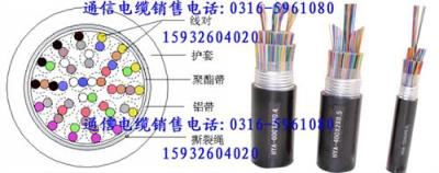 hya 5对 2400对市内通信电缆 电话电缆