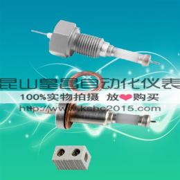 DJY 超純陶瓷電極 18* 12