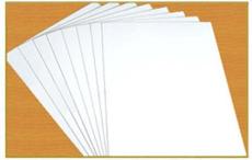 白板纸年度热销产品 至大纸业白板纸 白板