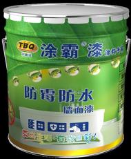 防霉防水內墻面漆