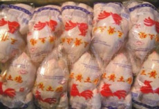 批發德國10021廠A級三黃雞