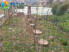 广西专业生产玻璃钢化粪池 农村专用化粪池