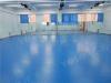 舞蹈塑胶地板厂家 塑胶舞蹈专用地板