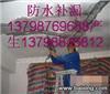 东莞防漏堵漏