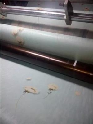 彩装膜厂家 彩装膜厂家