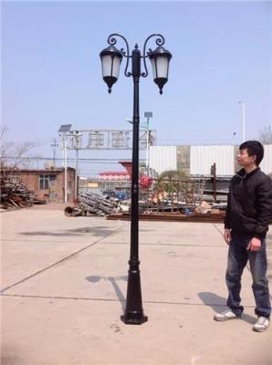 河北金海LED景觀燈庭院燈壁厚路燈加工