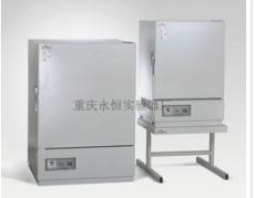 恒温干燥箱价格-重庆恒温干燥箱厂家直销